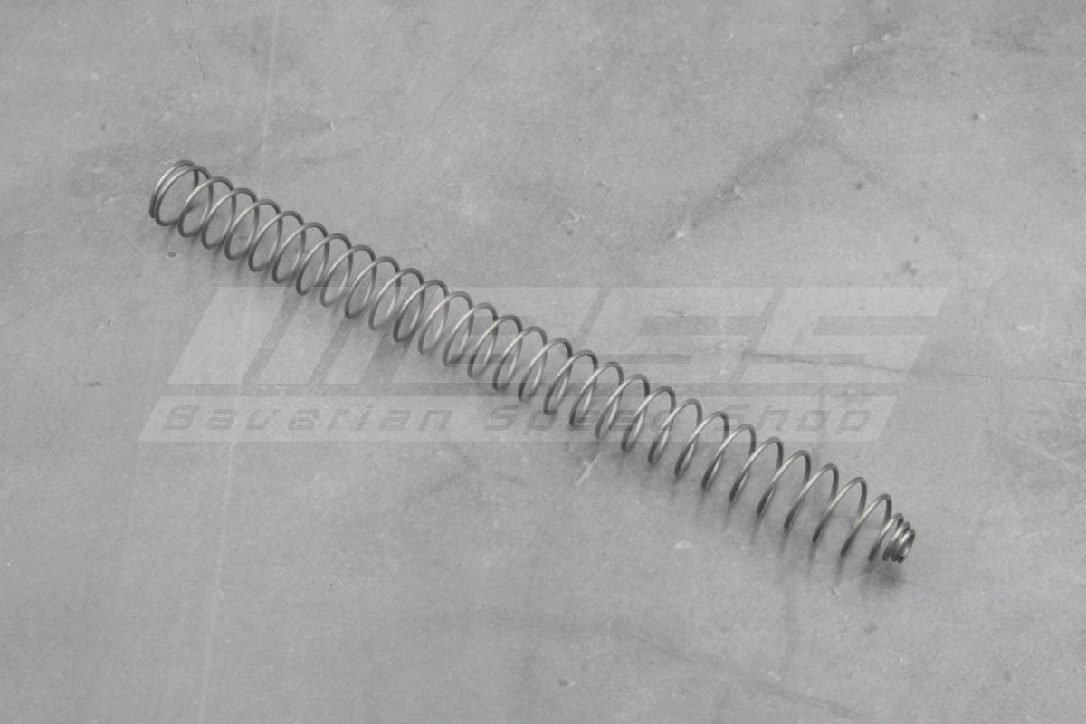 Chain Tensioner Compression Spring – 11310731115