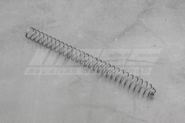 Chain Tensioner Compression Spring – 11310731115