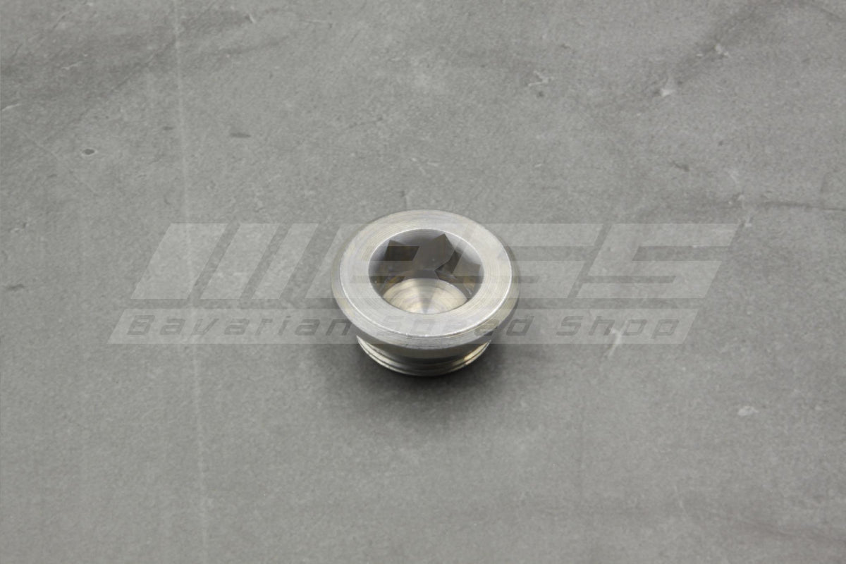 Differential Drain Plug M22 x 1.5 - 33117525064
