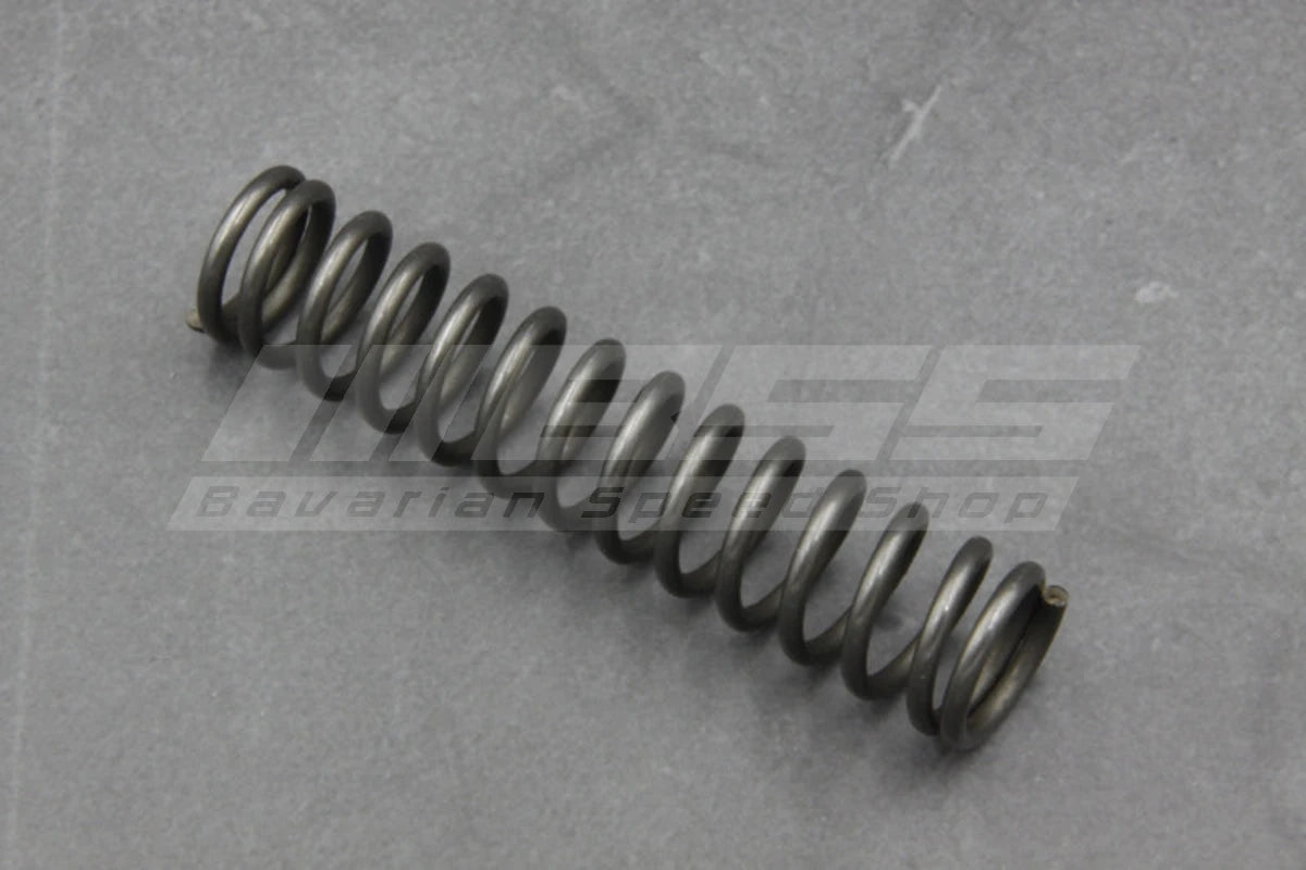 Timing Belt Tension Spring – 11311267746